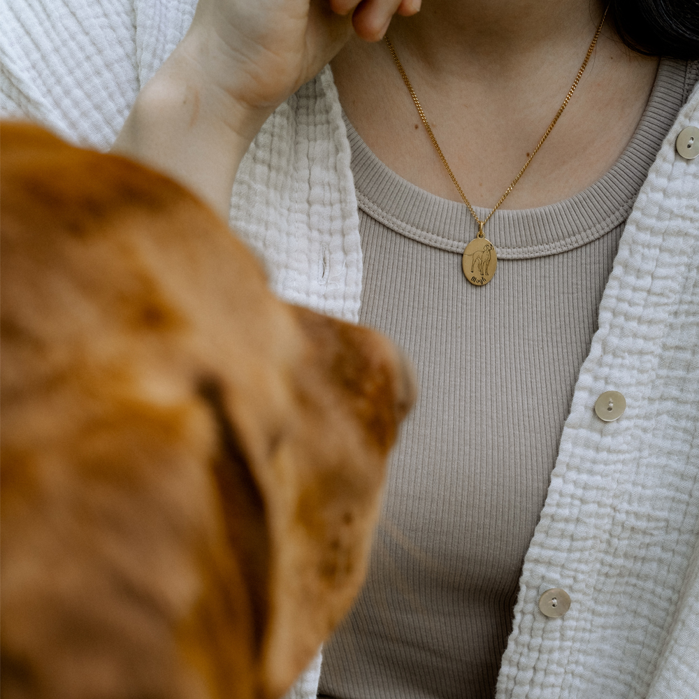 Goldener Anhänger mit Berner Sennenhund