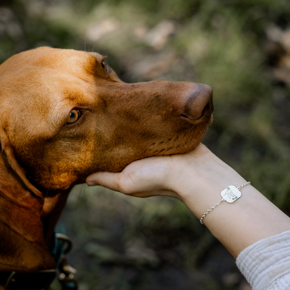 Personalisiertes Rottweiler Armband Silber