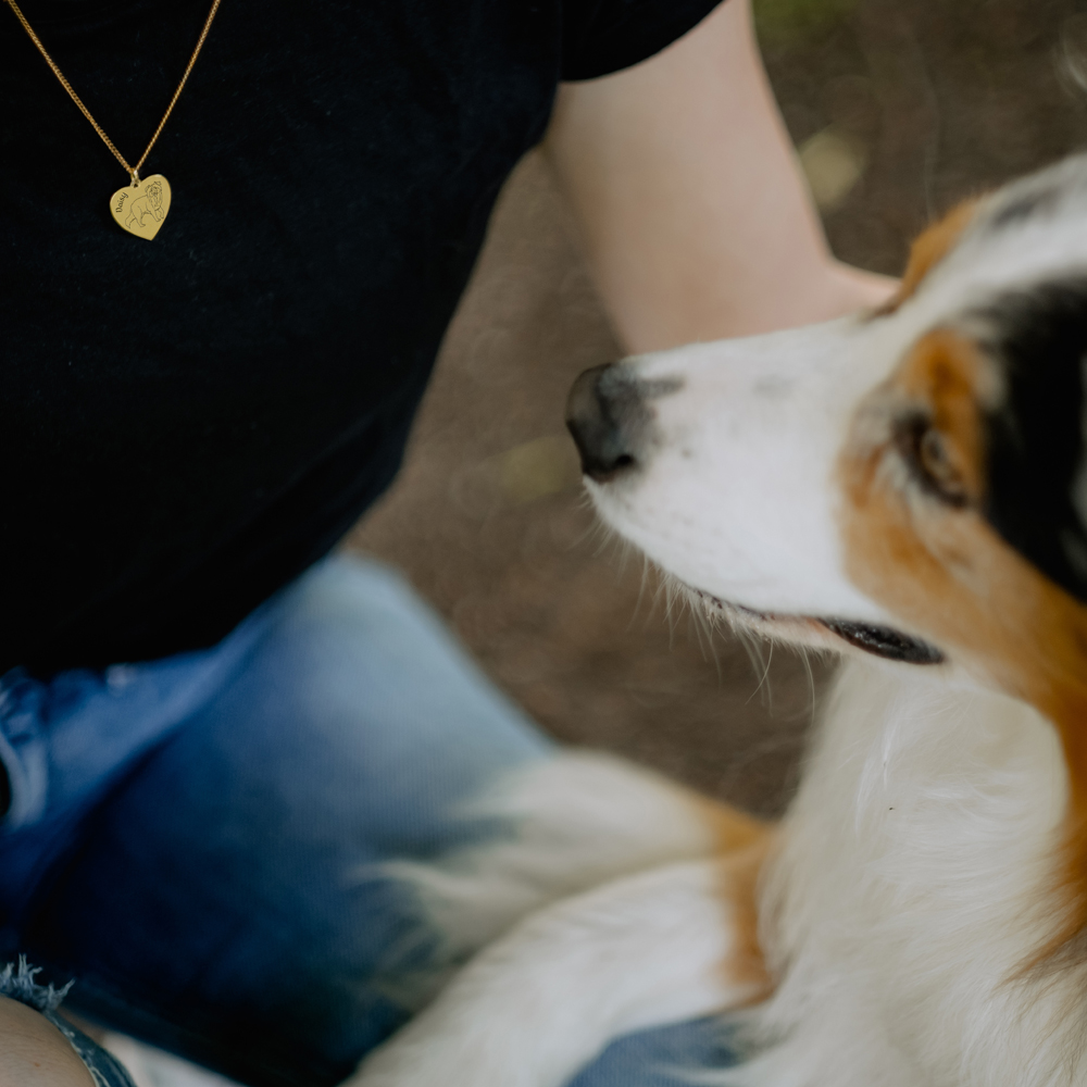 Goldene Kette mit Namensgravur von eigenem Hund Australian Shepherd