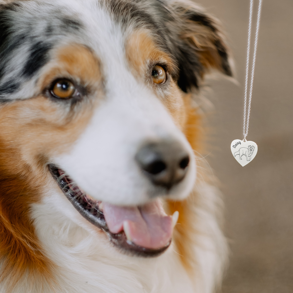 Silberne Kette mit Anhänger Englische Buldogge