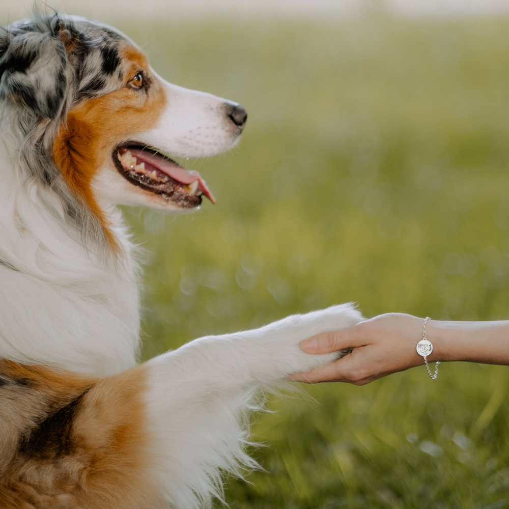 Silbernes Armband mit Hundegravur Akita