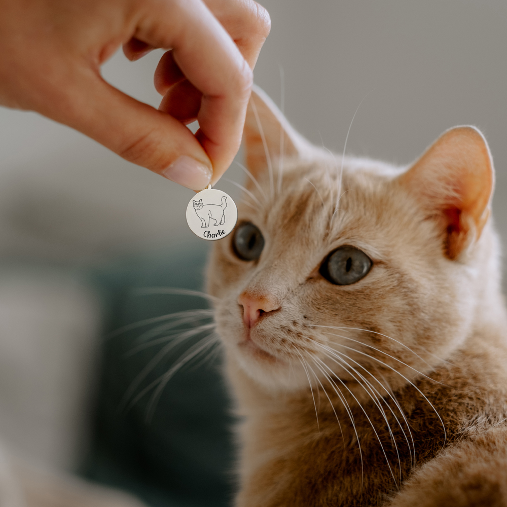 Kettenanhänger mit Katze Russisch Blau Silber