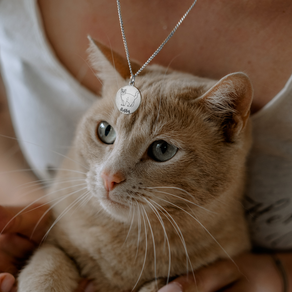 Silberner Katzenanhänger mit Name Perserkatze