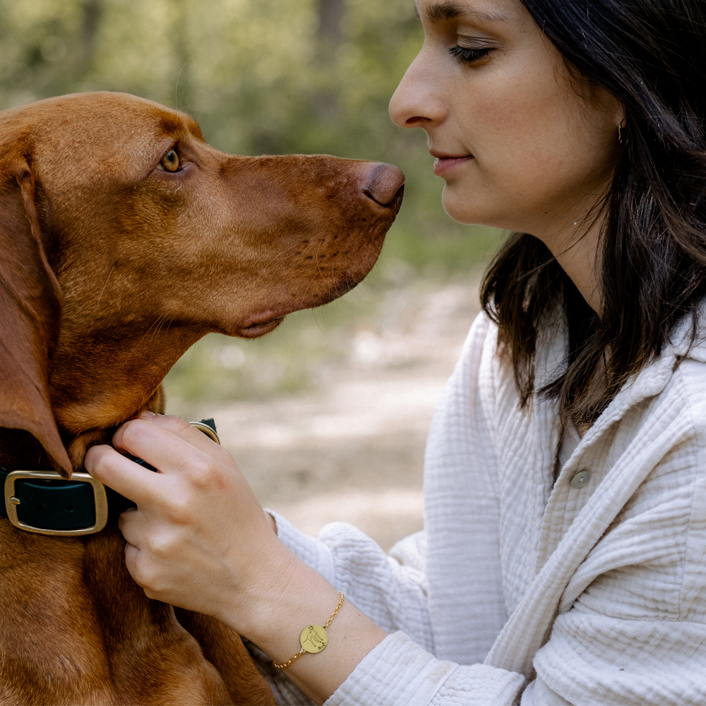 Goldenes Namensamband mit Hund Golden Retriever