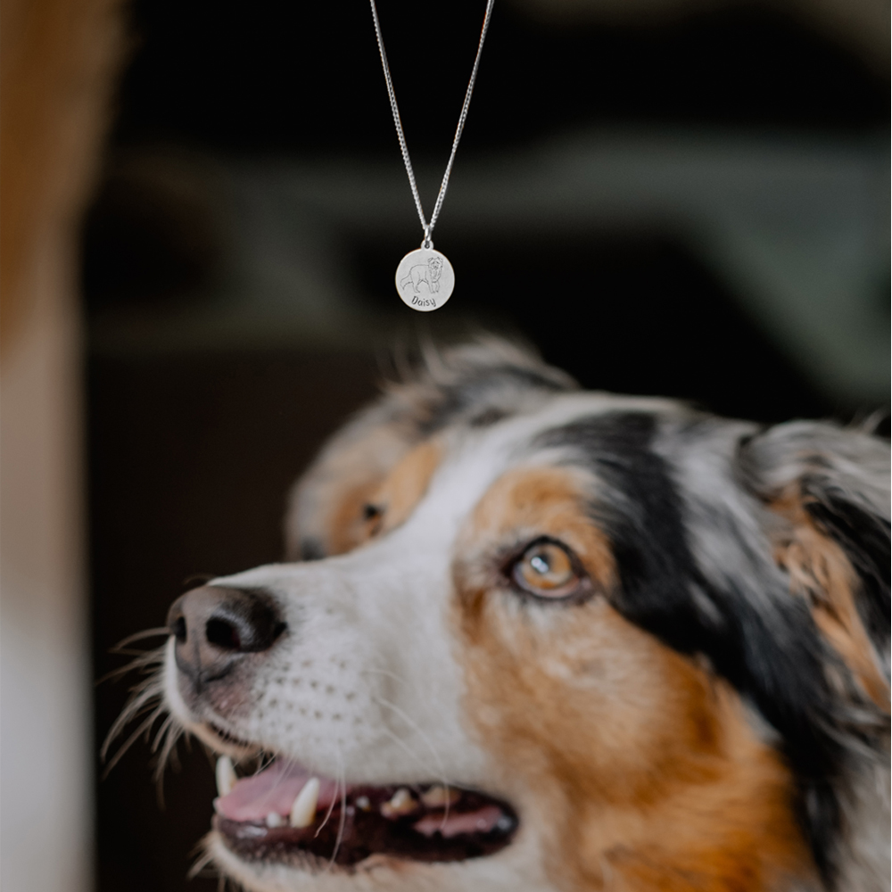 Silberne Kette mit Namensgravur von eigenem Hund Australian Shepherd