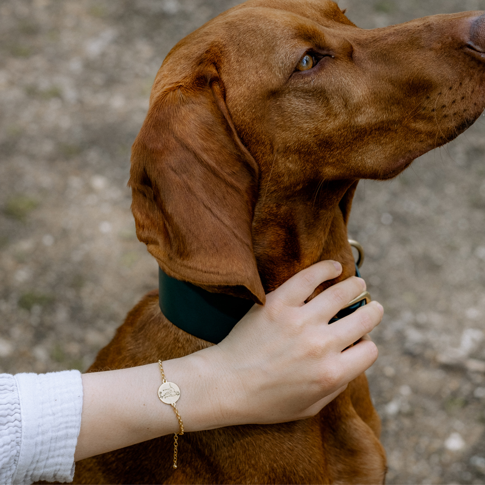 Goldenes Hundearmband Mastiff