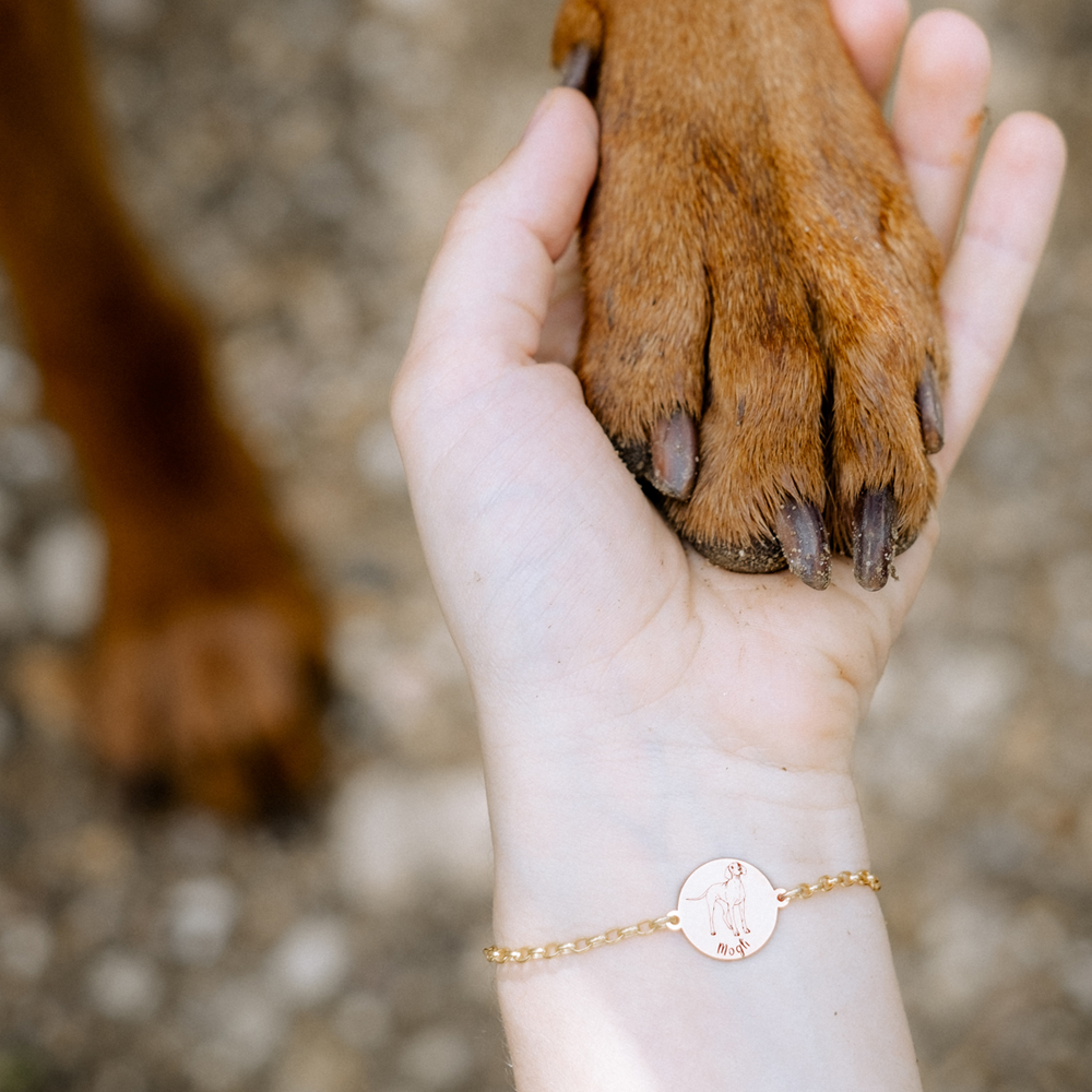 Goldenes Hund Armband Dackel