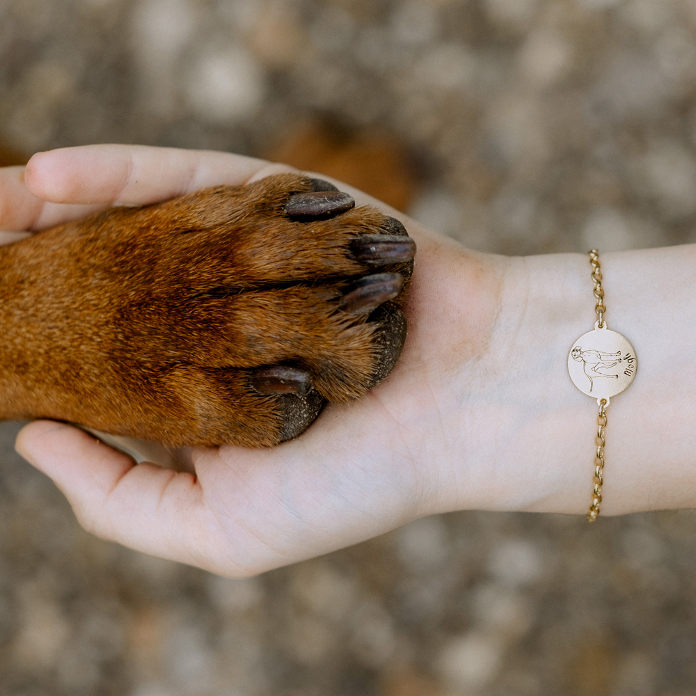 Goldenes Armband Englische Buldogge