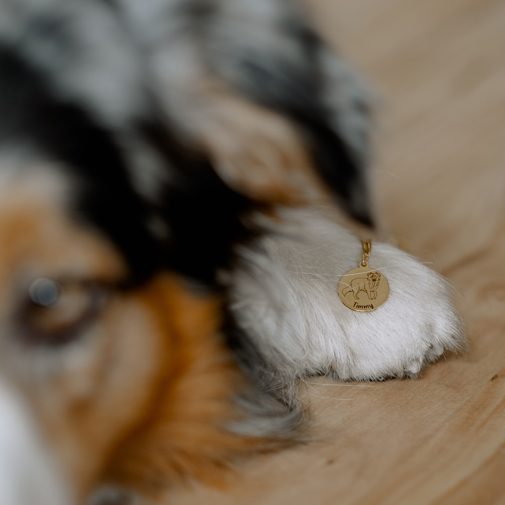 Goldene Namenskette mit Hund Golden Retriever