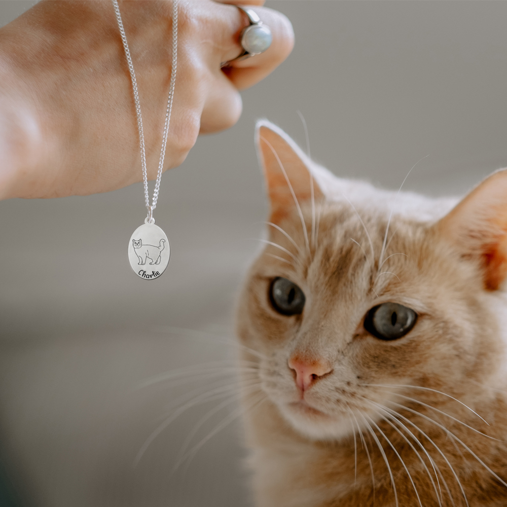 Silberner Anhänger mit Katze Kräuselkatze